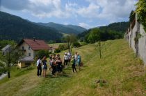 Užitni park z drevesi, grmičevjem in zelišči title=