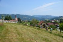 Nabiranje in spoznavanje rastlin v parku in na travniku title=