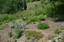 Zeliščni vrt pri čebelarskem domu title=