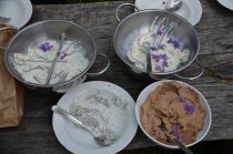 Namazi s travniškimi rastlinami in fižolov namaz title=