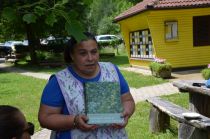 Biblija za spoznavanje slovenskih divjih rastlin title=