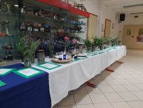 Razstava zdravilnih rastlin v šolski avli title=