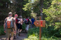 Od stolpa se spustimo v smeri proti Pesku title=