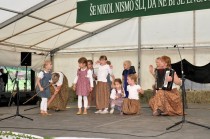 Prihodnost lovrenške folklore title=