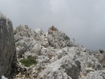 Še malo in bomo poplačani za trud title=