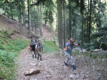 Palice so dober pripomoček title=