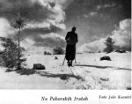Planinski vestnik, 1935, str. 38 title=
