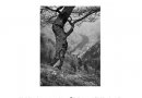 Fotografska razstava Matica Lamprehta